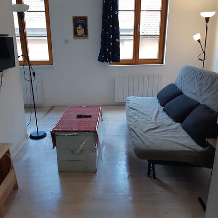 Gite De Benedicte Mouton Colmar Zewnętrze zdjęcie